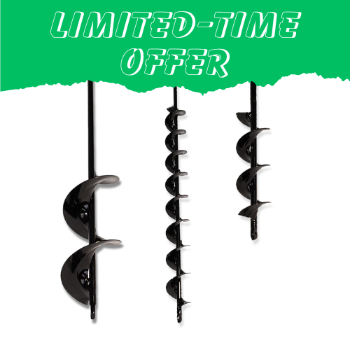 Spring Essentials Bundle